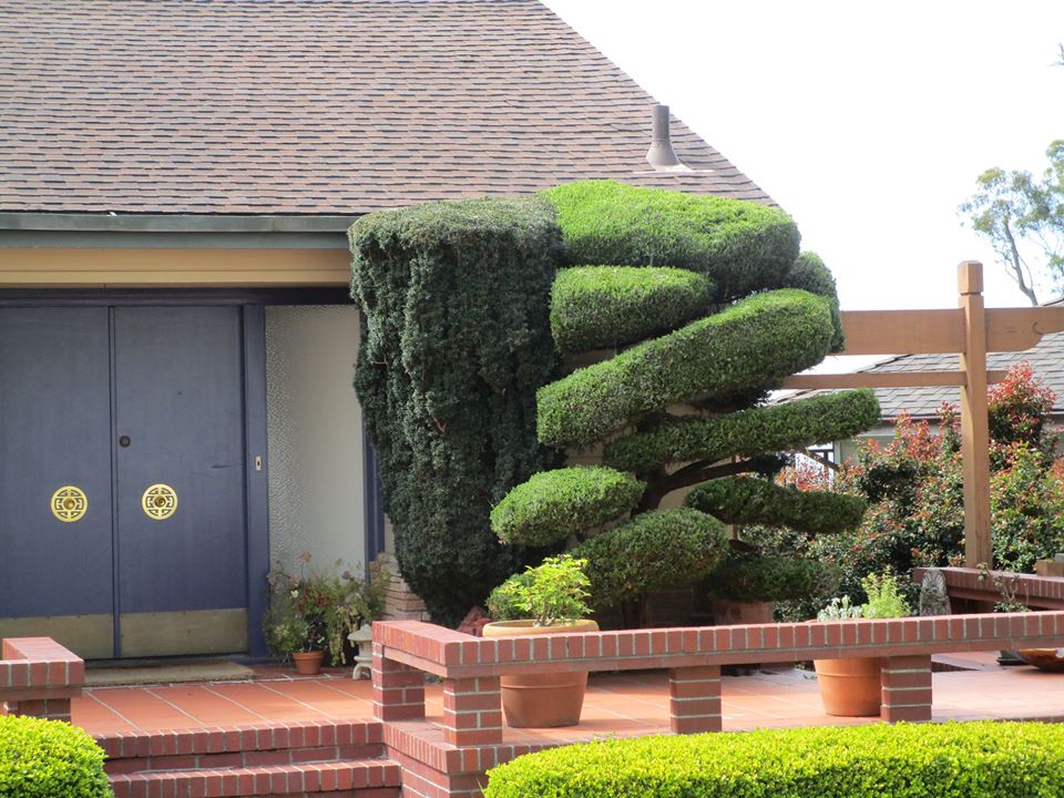 91138398_10221891412580771_1950945729786675200_o