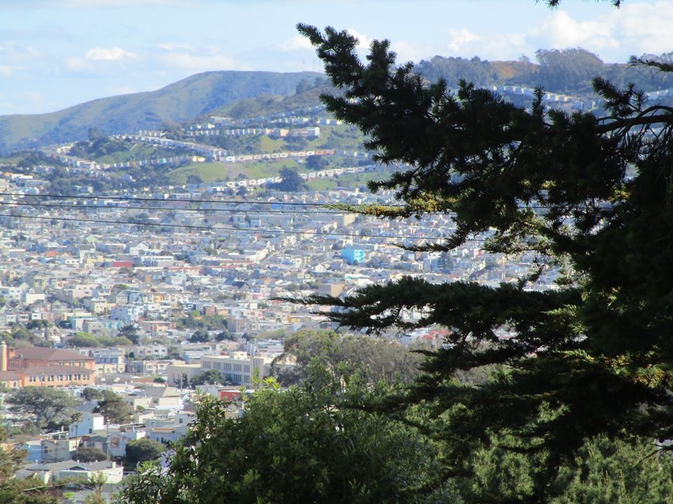 91207936_10221891440421467_7501608978913165312_o