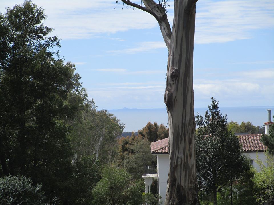 91325233_10221891414460818_2598914788465573888_o