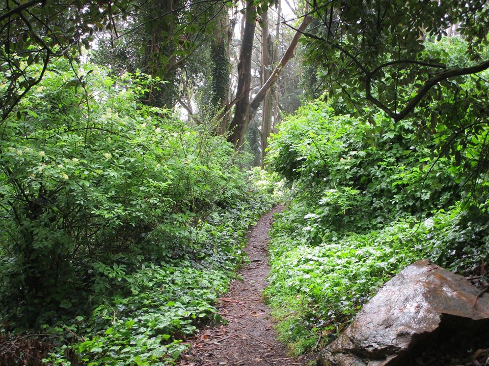 91465551_10221891416260863_734031772269936640_o