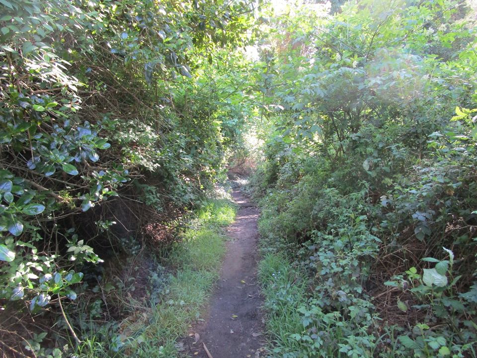 91483578_10221891429381191_89686008131485696_o