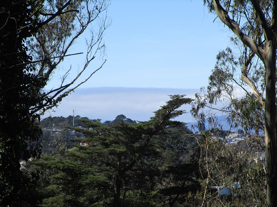 91503496_10221891430141210_6218464568402771968_o