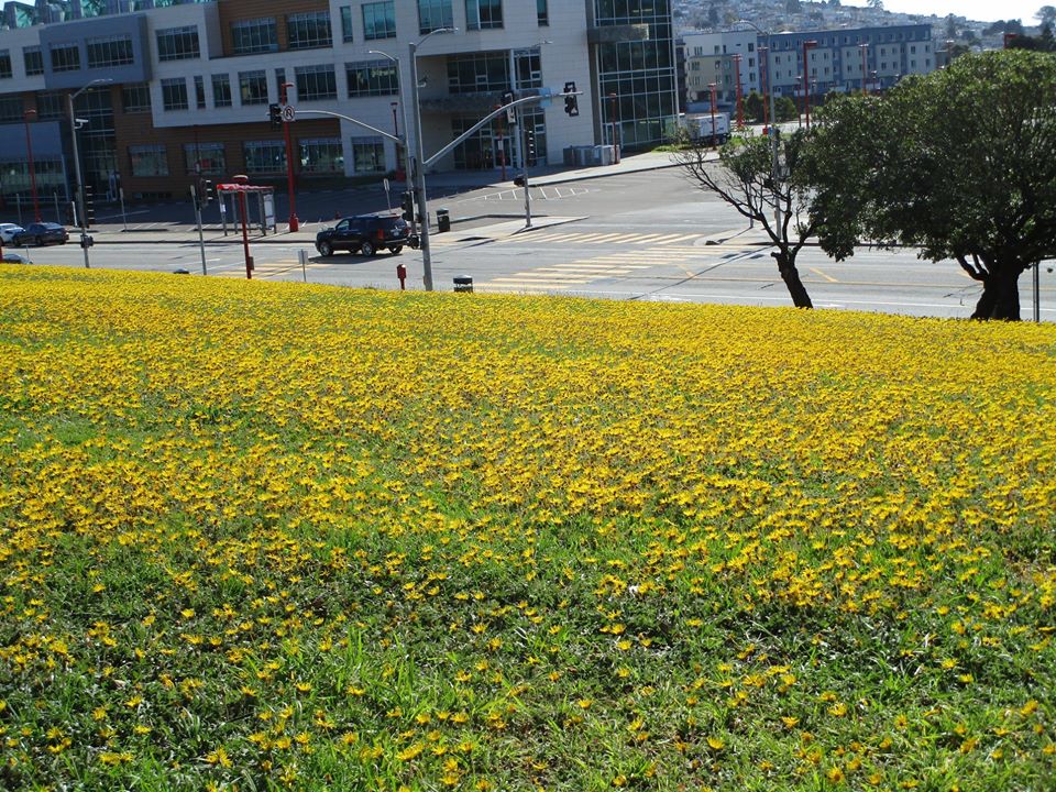 91792897_10221998783624980_5878932843714838528_o