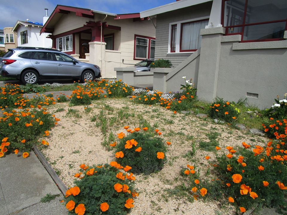 92228457_10221965534593775_4533719678966562816_o