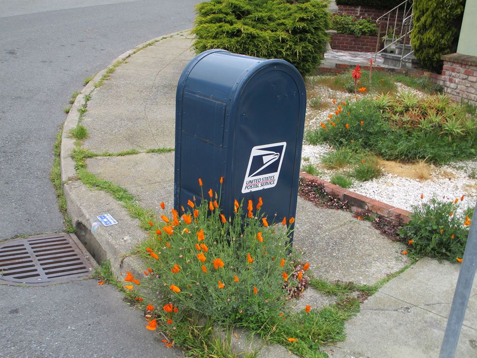 92273846_10221998797945338_5272981819459895296_o