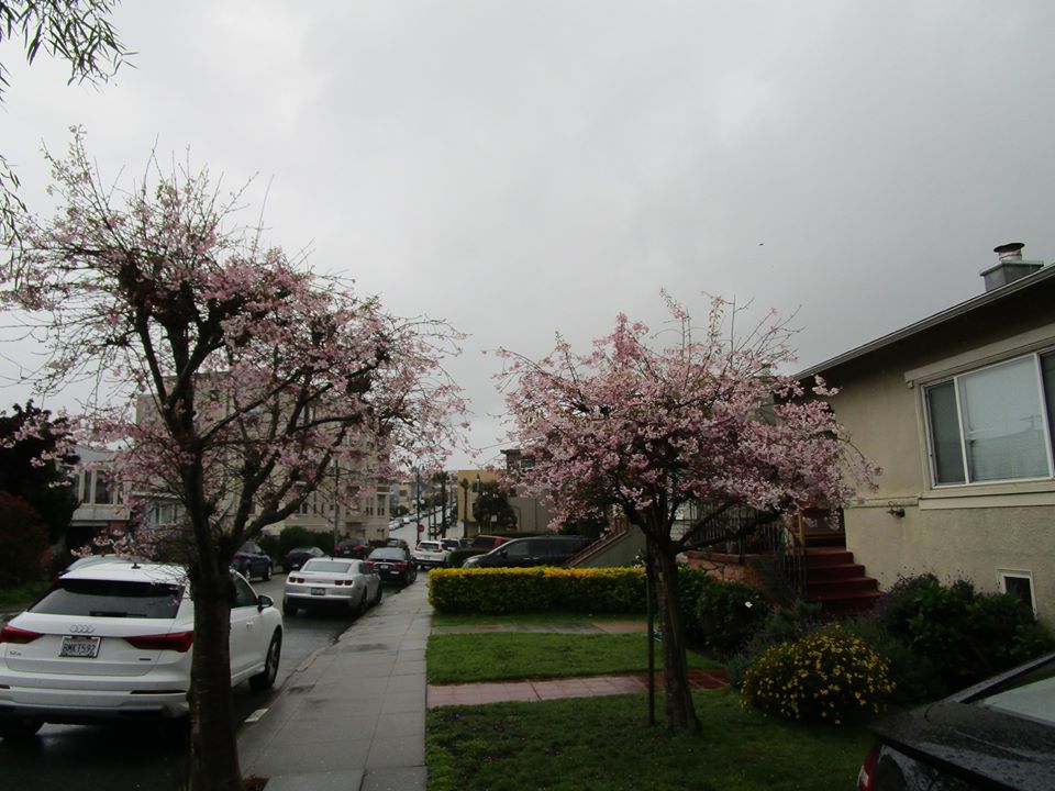 92355125_10221998770344648_449585090507309056_o