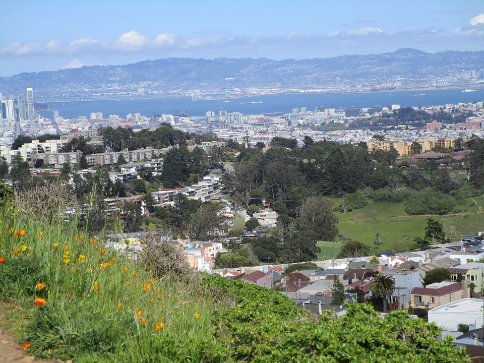 92433620_10221965529673652_223617132963823616_o