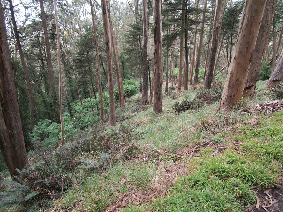 92468005_10221998786385049_1721896682964123648_o