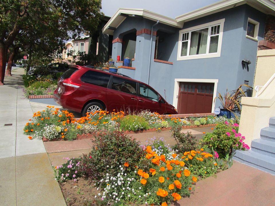 92573039_10221965527273592_104229729468416000_o