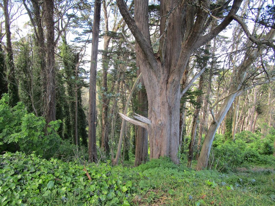 92617305_10221965532113713_4855428882808963072_o