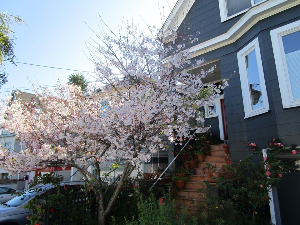 92940658_10221998775904787_7798783585804091392_o