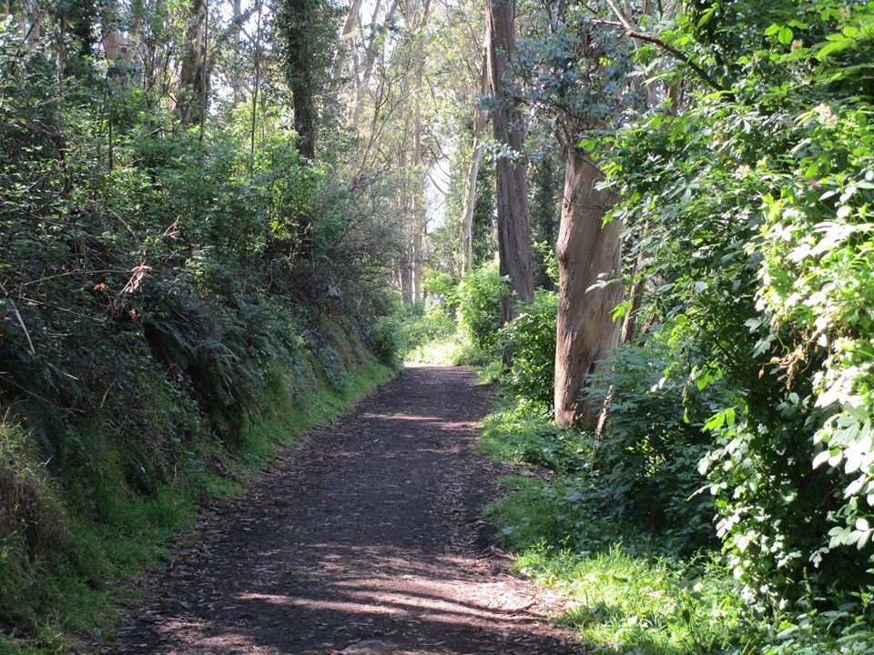 93109941_10221998777504827_3123683015201390592_o