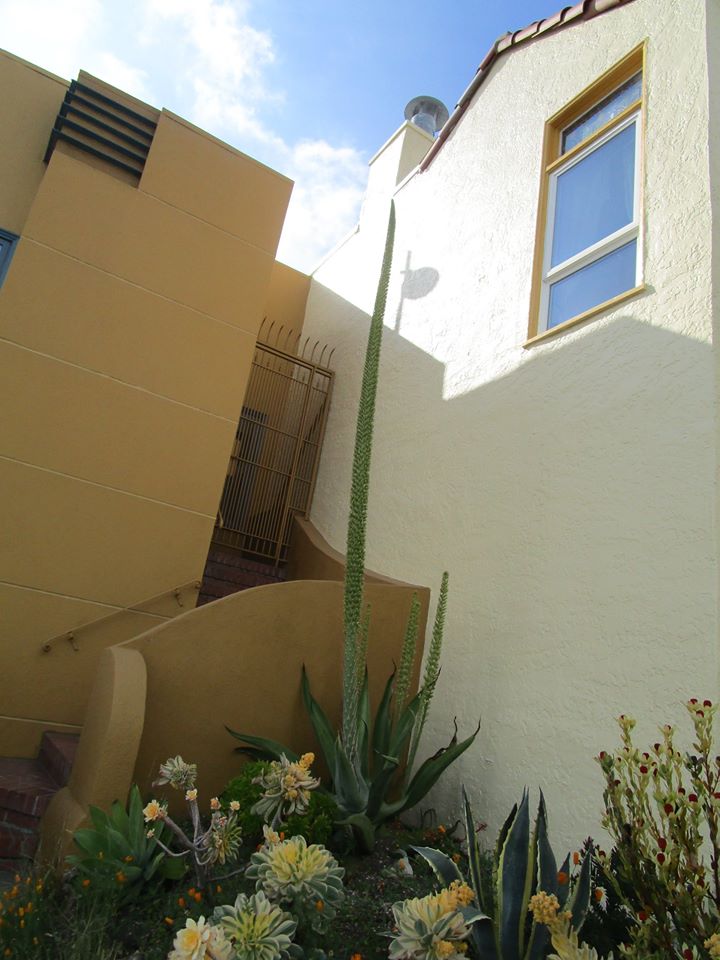 93137236_10222055321958403_4265733467955789824_o