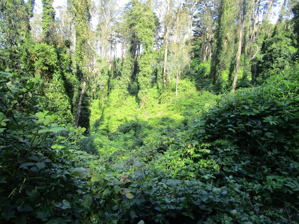 93374448_10222055324678471_1085827793251467264_o