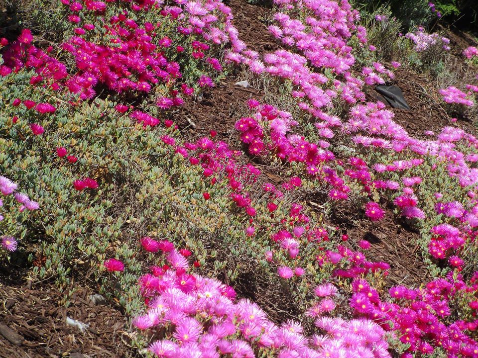 93382871_10222143721808344_2482565962662936576_o