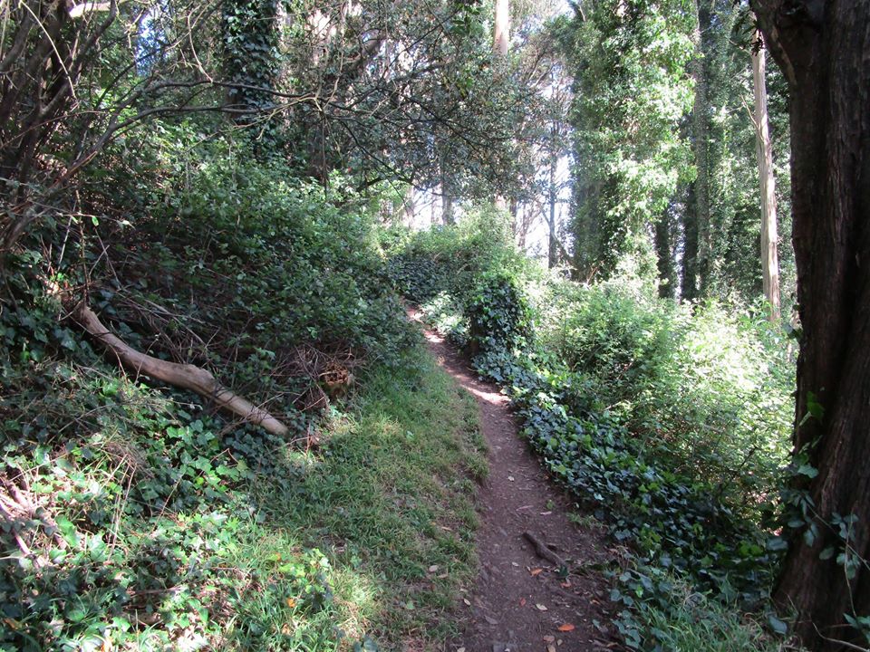 93386320_10222143717808244_1158506276351639552_o