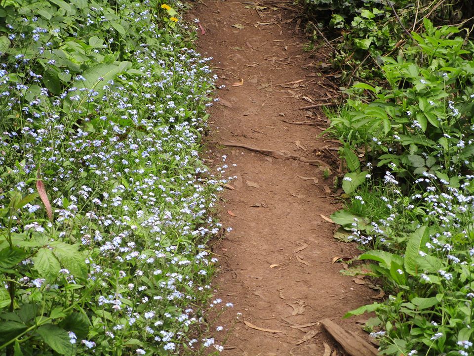 93399158_10222143727888496_6103521519755853824_o