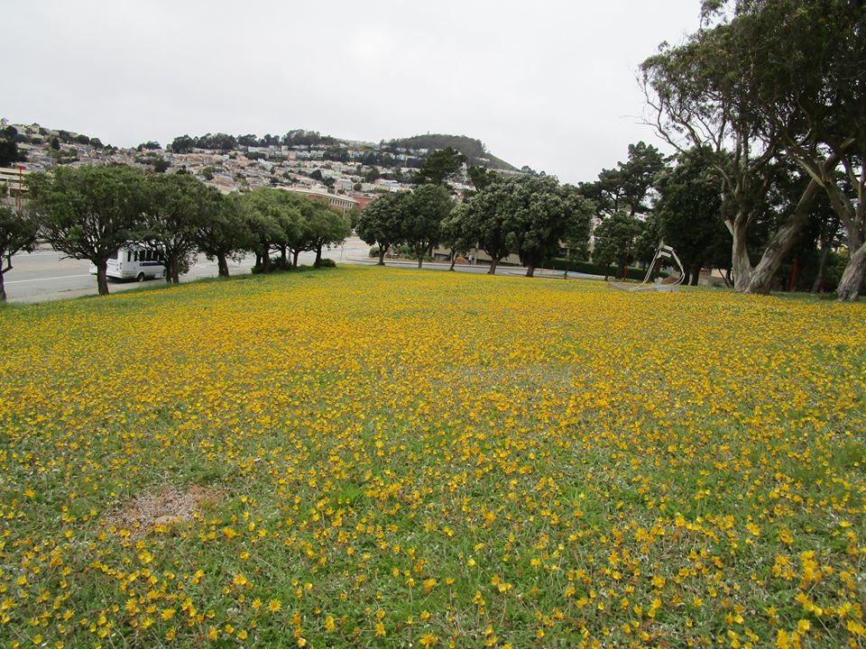 93423775_10222055334558718_2375303449412632576_o