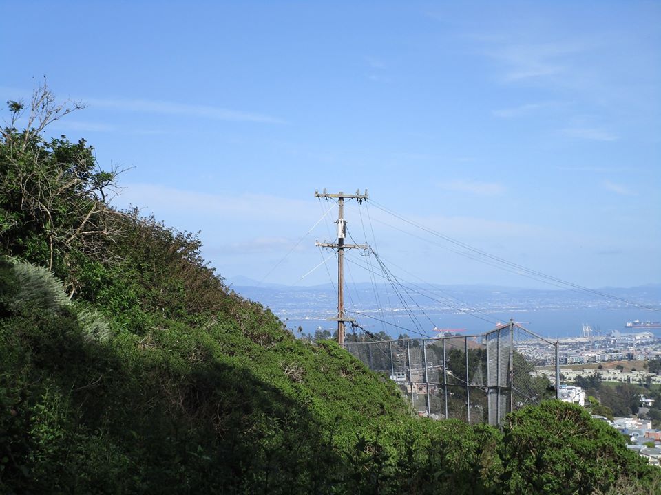 93423835_10222143738808769_5087705236777205760_o