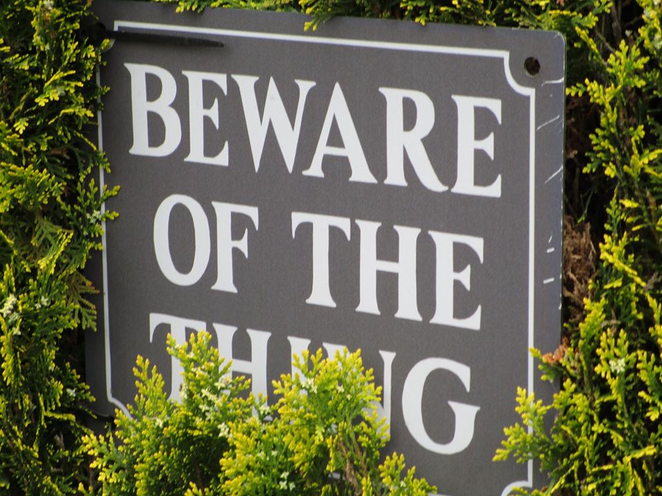 93473666_10222055339358838_690451847218987008_o