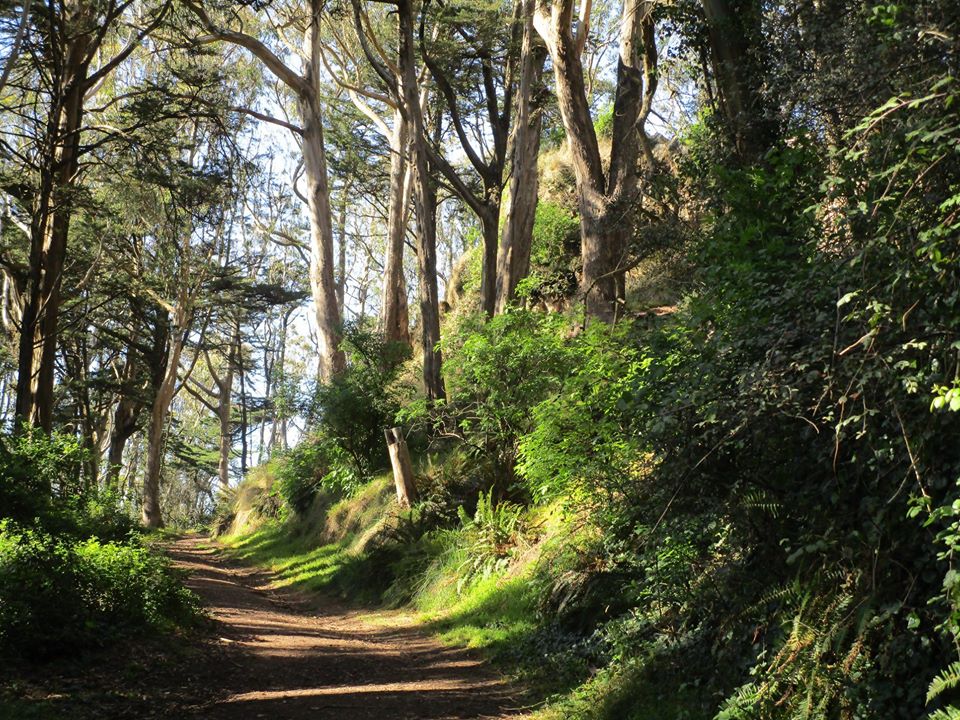 93518048_10222055340358863_7921672349718413312_o