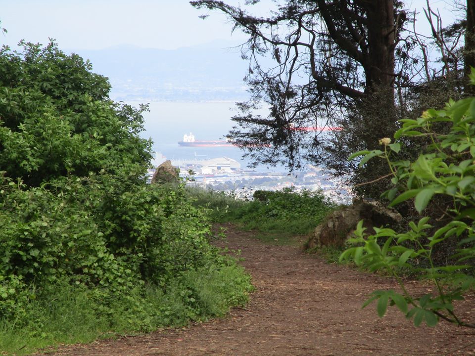 93539007_10222143746128952_5198398376630026240_o