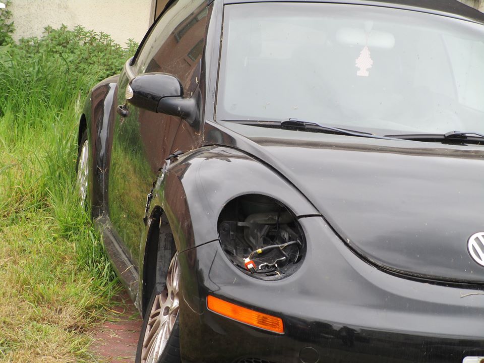 93683492_10222143729528537_7643214639072804864_o