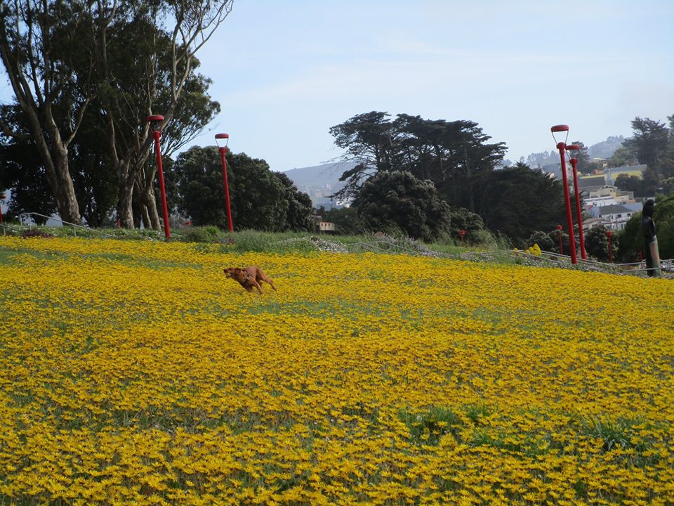 93695743_10222143721888346_5688329384893612032_o