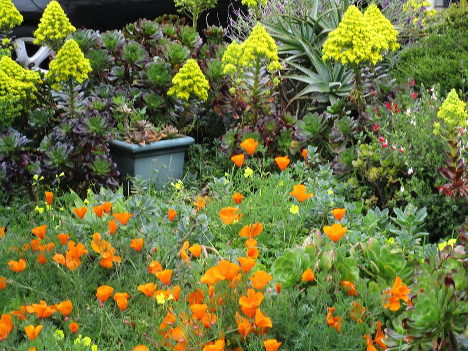 93763645_10222055318918327_7722002747511275520_o