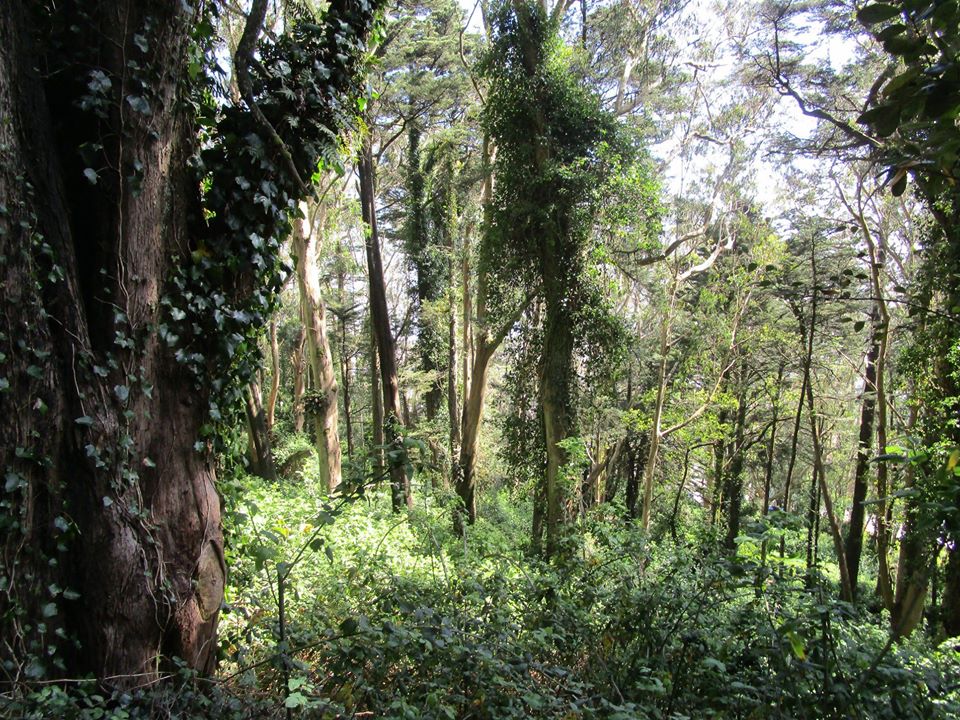 93824151_10222143714408159_3484229971918979072_o