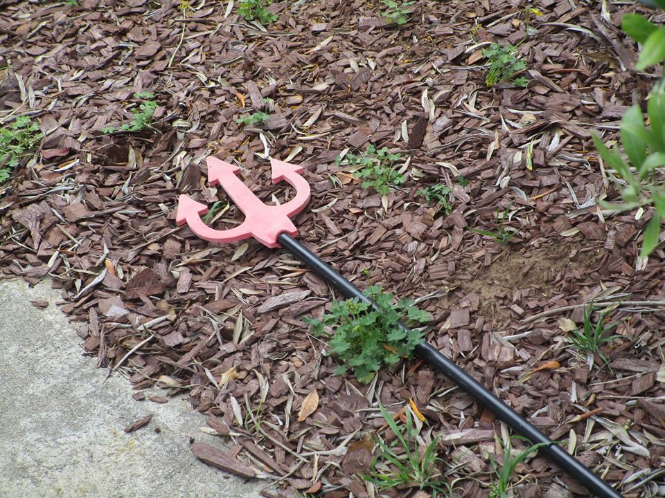 93878691_10222143726488461_4059151931929526272_o