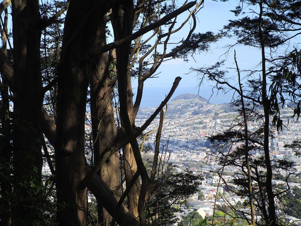 93939737_10222143734688666_6756785908038500352_o