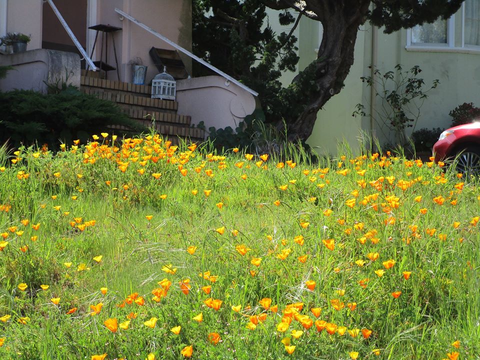 94357997_10222143744128902_3200308203879399424_o