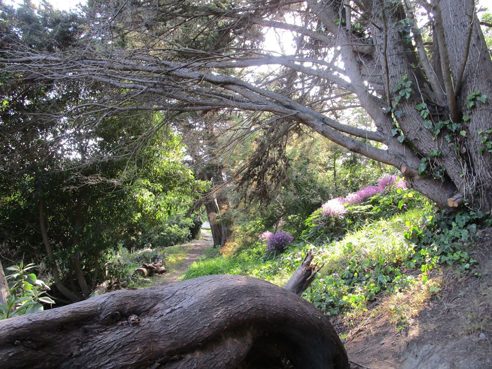 94477596_10222230532578559_7055515713997373440_o