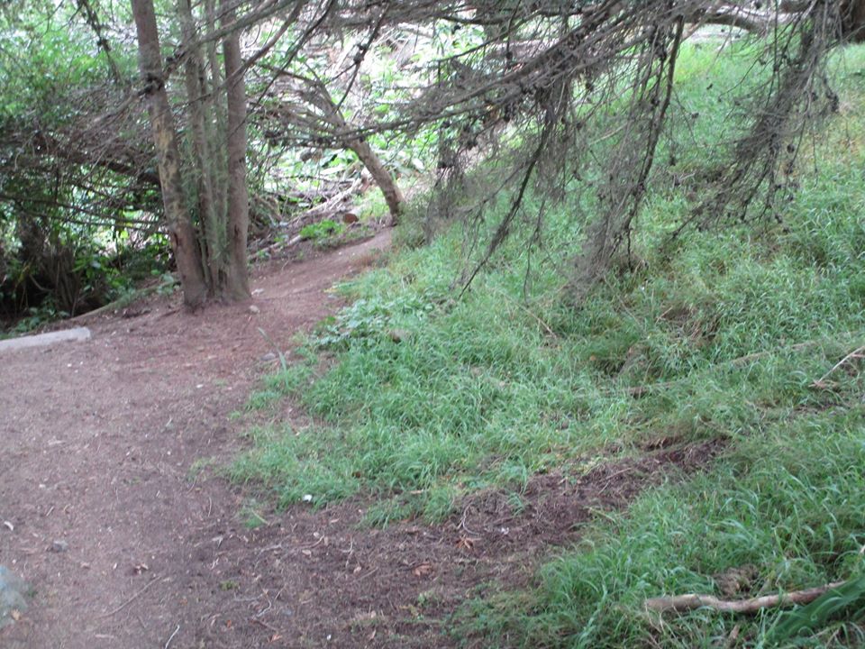 94504673_10222230625500882_5995256681397747712_o