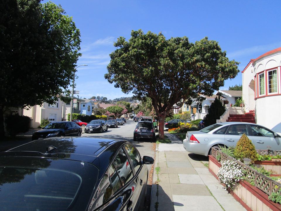 94558668_10222143737048725_8224558004687601664_o