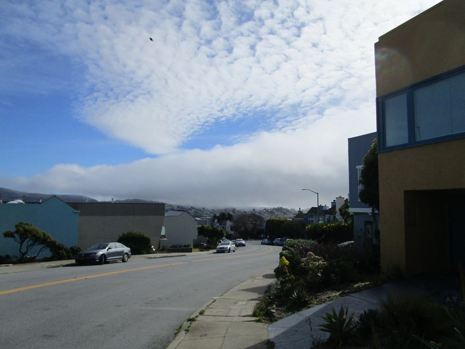 94560565_10222230614780614_1567645664127483904_o