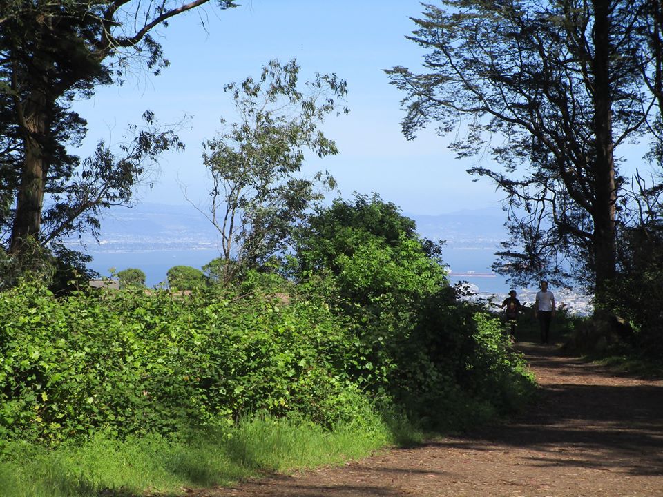 94569486_10222230602500307_9039037452169248768_o