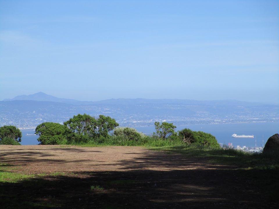 94602909_10222230570099497_3465442758469091328_o