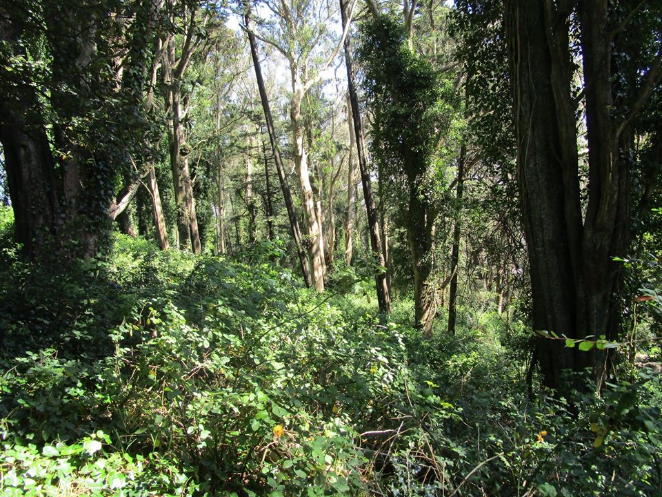 94638055_10222230581619785_4432139828355661824_o