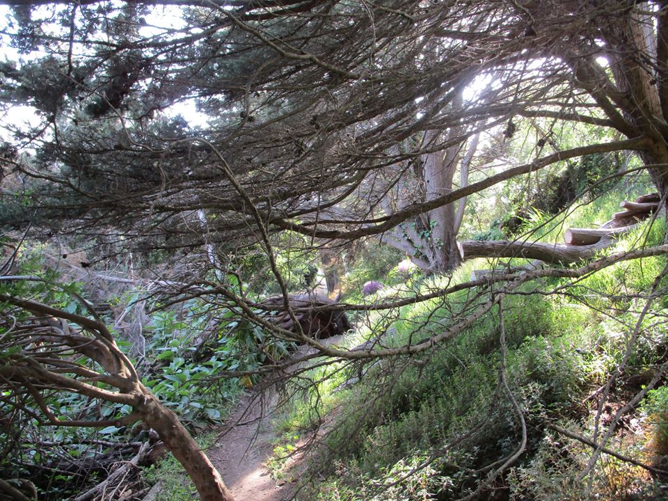 94672782_10222230536618660_9119048797358391296_o