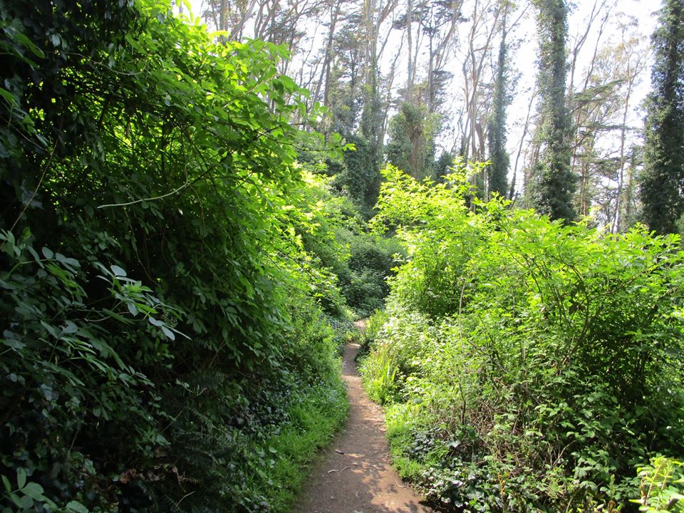 94698601_10222230528778464_7940965282682503168_o