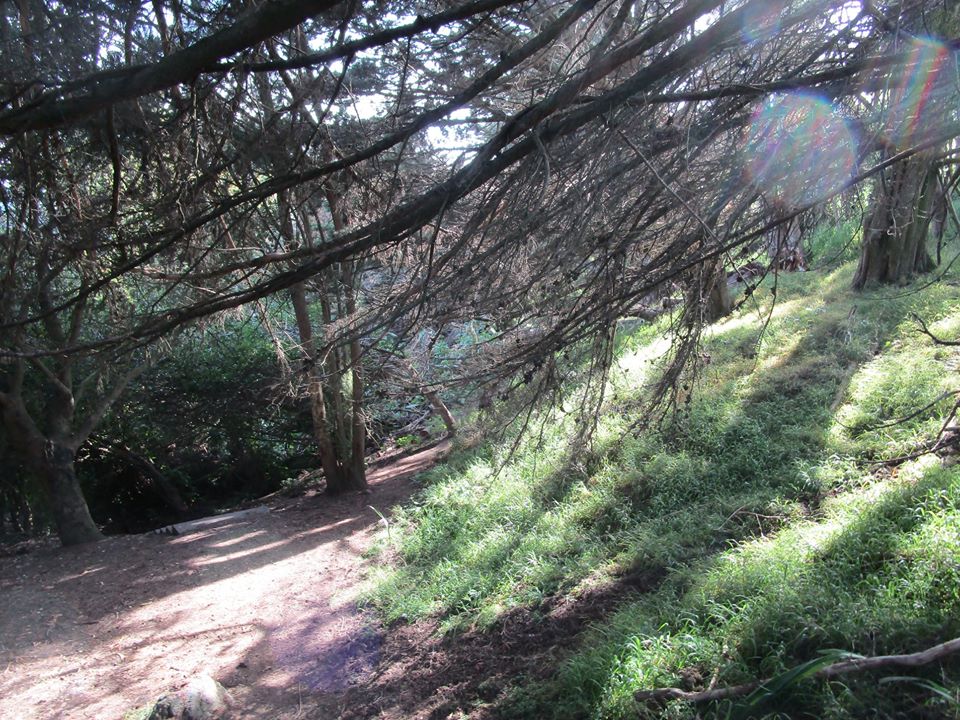 95121104_10222230532658561_6399576802334867456_o