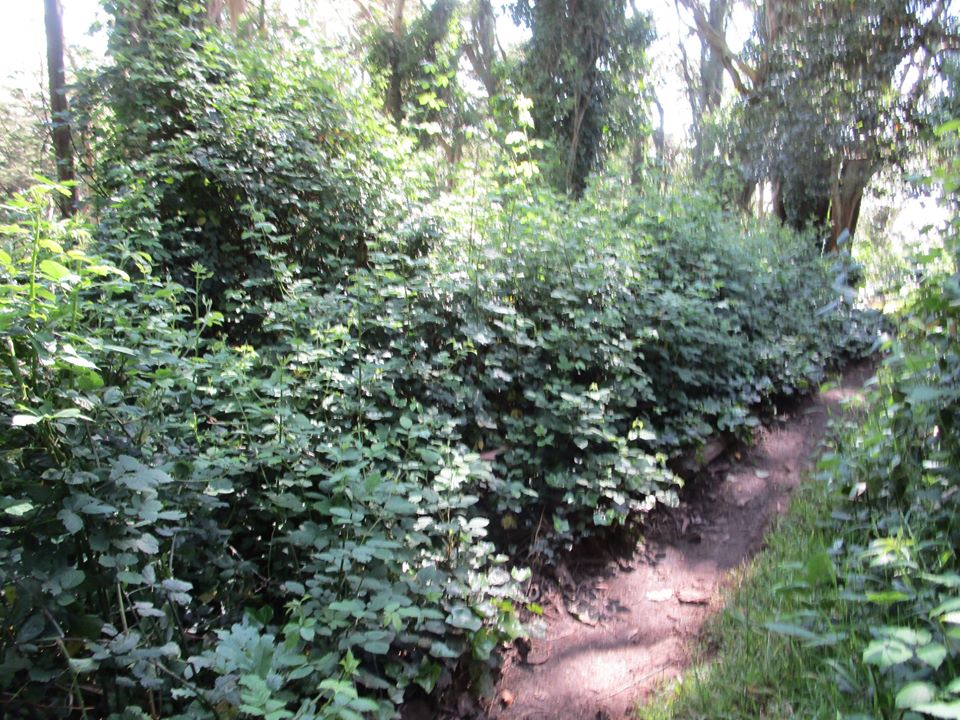 100082567_10222541465311683_6131202880331317248_o