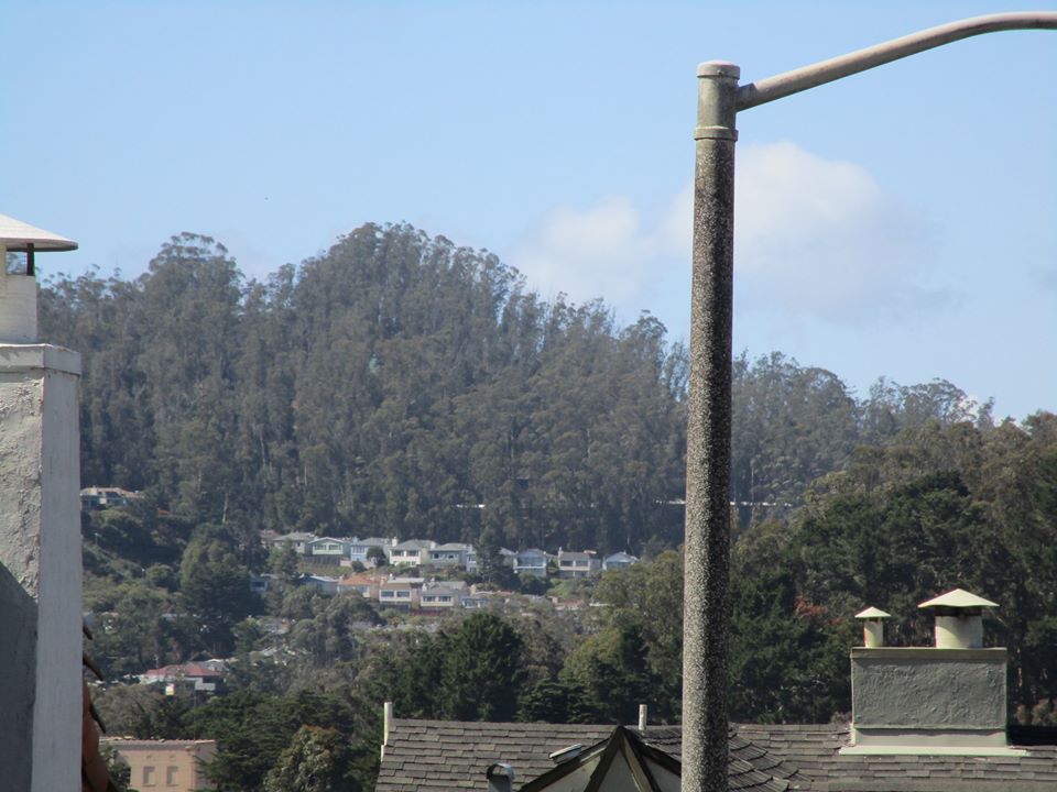 100685056_10222541462151604_6060869681302994944_o