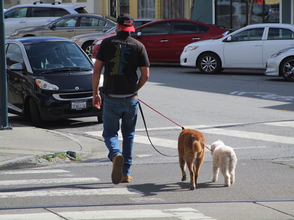 101128893_10222541460311558_1158323177600843776_o