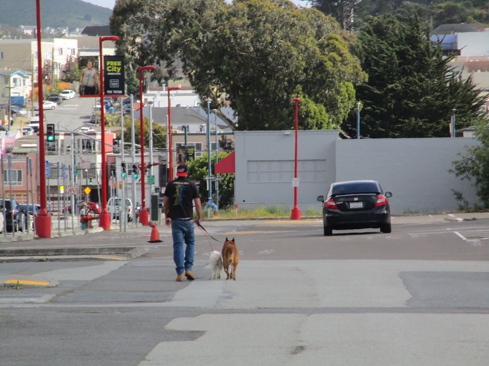 101131319_10222541458031501_266168795599470592_o