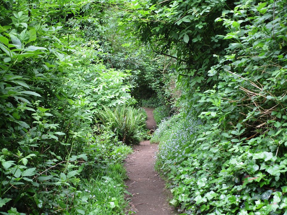 94488788_10222230649501482_7919612921489915904_o