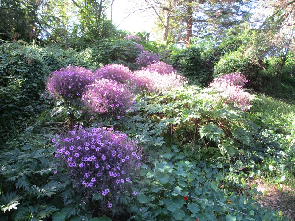 94506379_10222230643821340_1066242957130072064_o