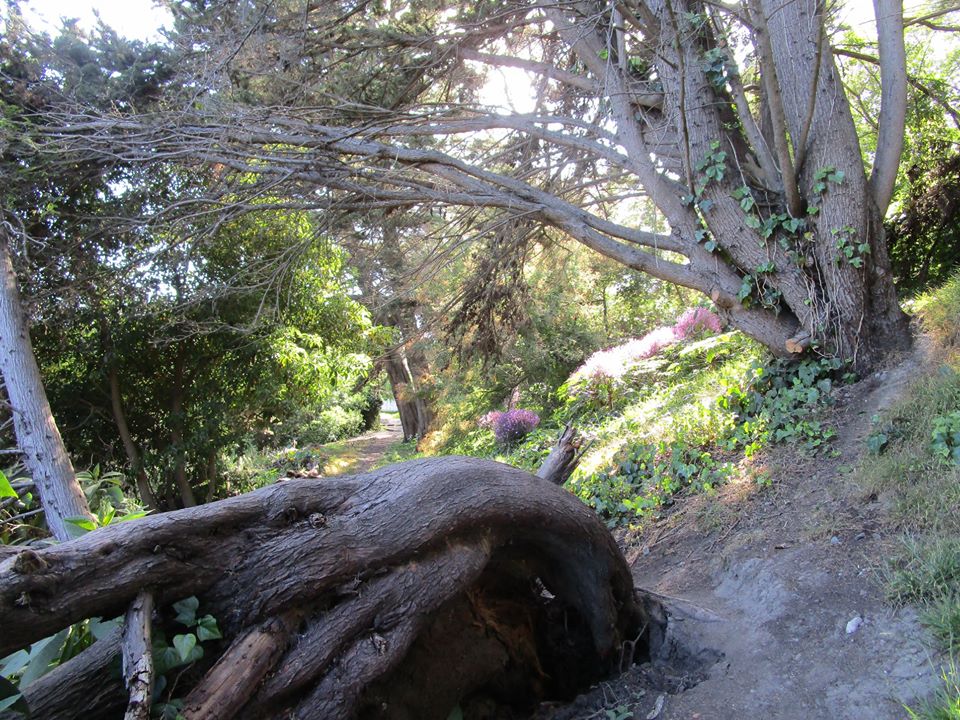 94570950_10222230641741288_6945290837248966656_o